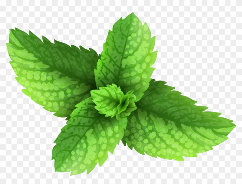 Milkshake Green Download Fresh Grass Transprent Png - Herbaceous Plant Clipart #2346832