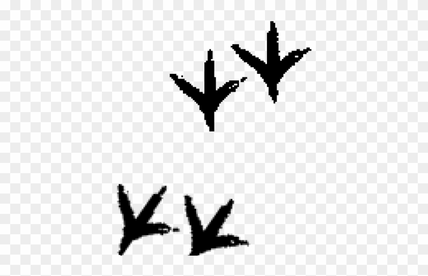 Turkey Tracks Clipart - Chicken Tracks - Png Download #2348020