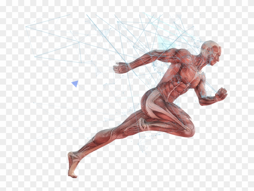 Slider-body - Human Athlete Clipart