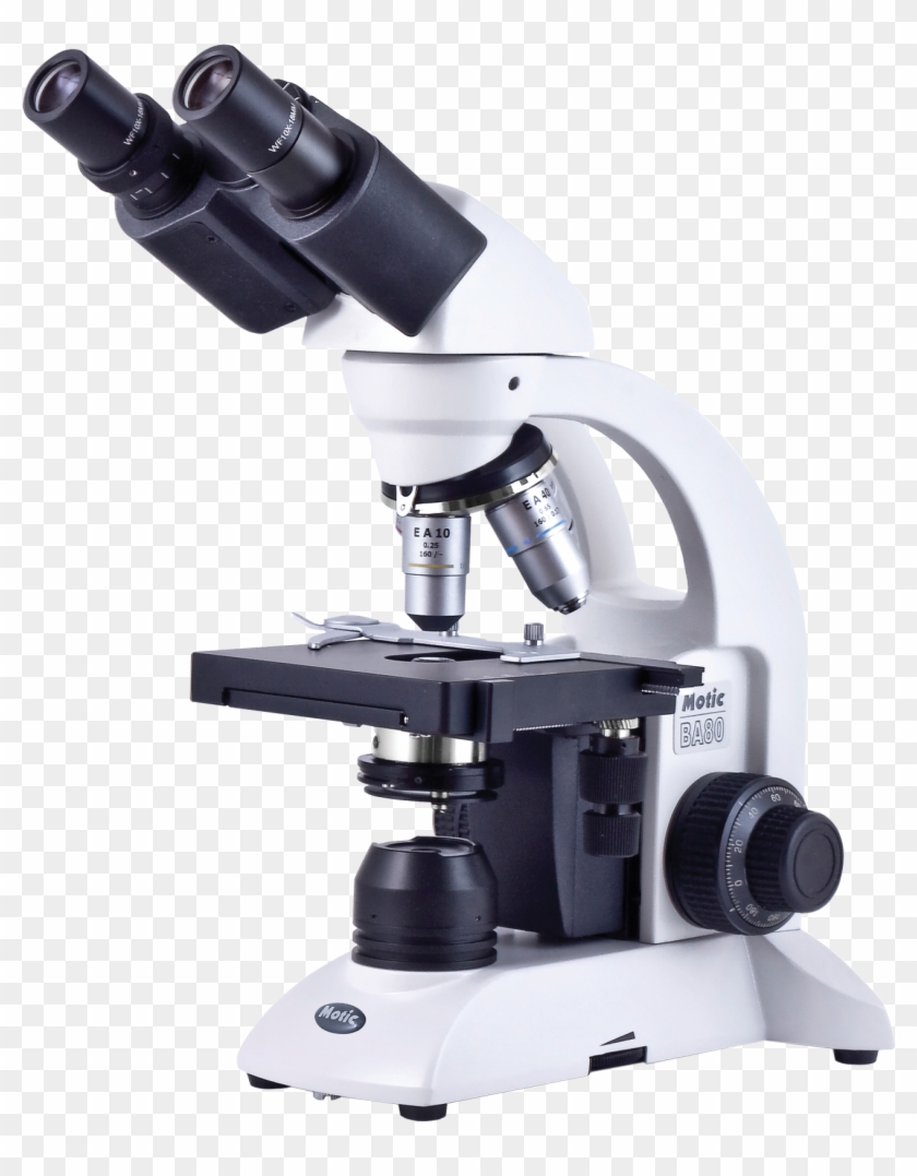 Microscopio En La Biologia Clipart