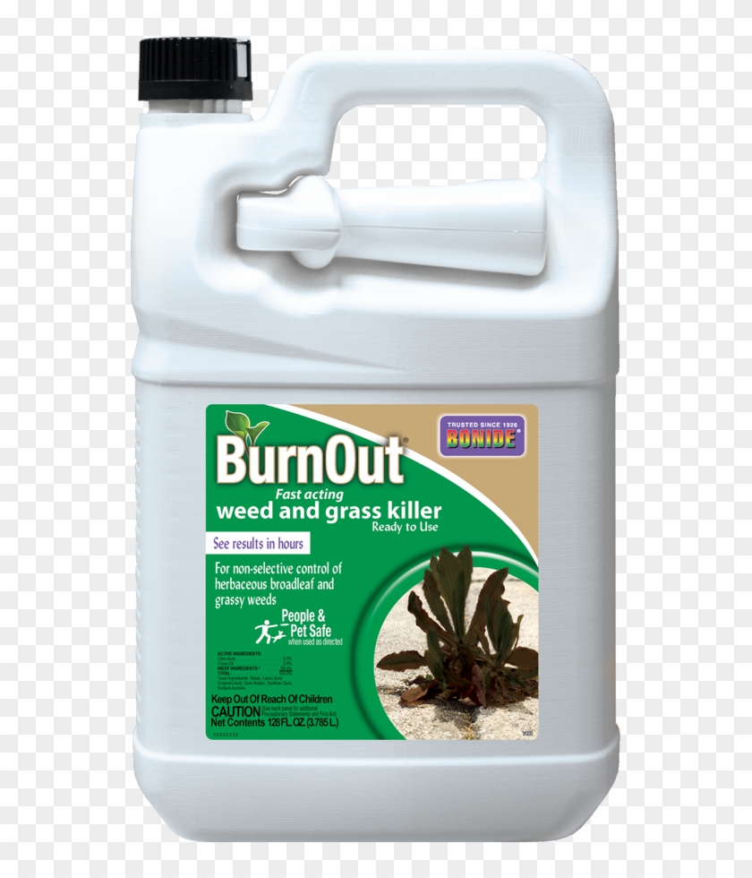 Gal Rtu - Bonide Neem Oil Clipart #2351852