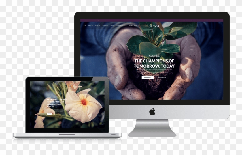 Divisions Websites - Led-backlit Lcd Display Clipart