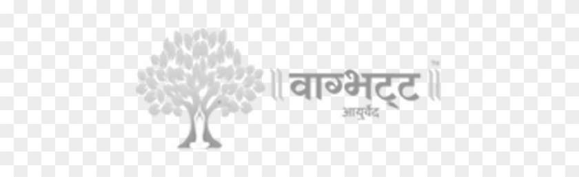 Vagbhatt Haldi Powder 100gm - Tree Clipart #2353096