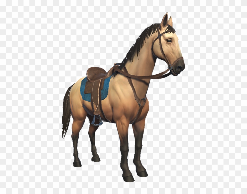 Saddled Animallica Wiki Fandom Powered By Wikia - Saddled Horse Clipart #2354280
