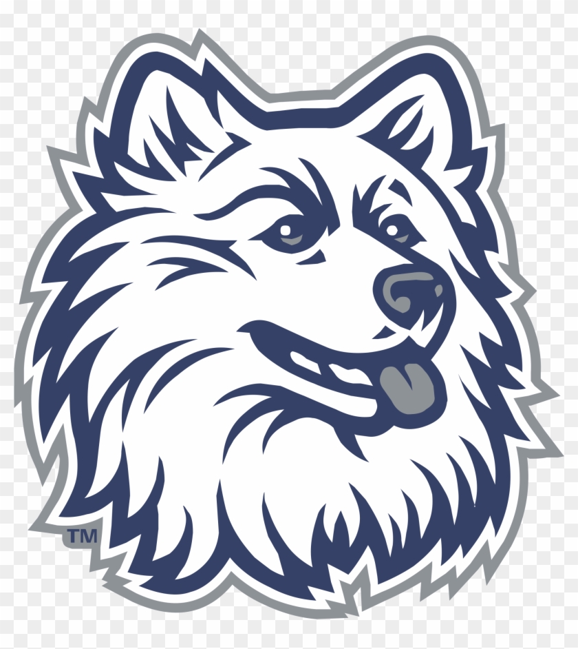 Connecticut Huskies Logo - Connecticut Huskies Clipart #2355316