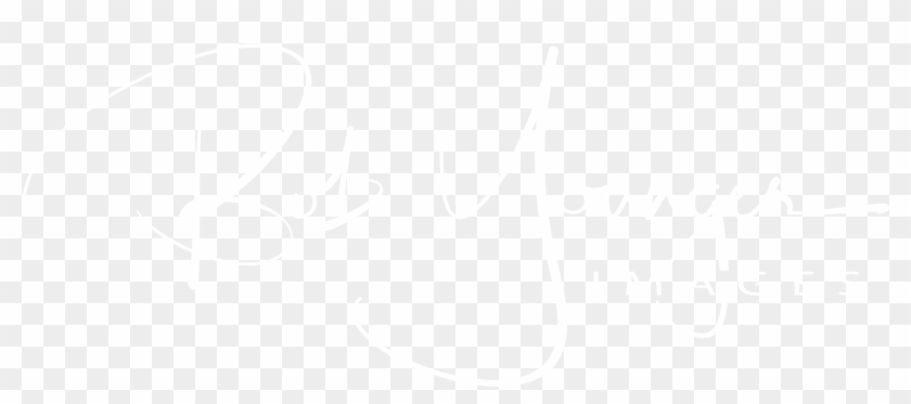 Bob Younger - Png Format Twitter Logo White Clipart