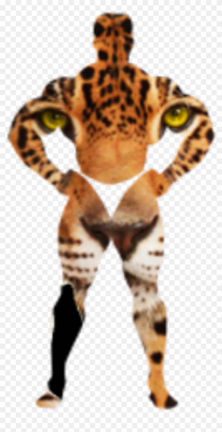 This Free Icons Png Design Of Leopard In The Body Of - Cheetah And Snow Leopards Clipart #2357443