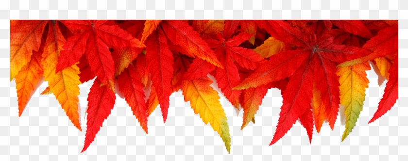 Brown Leaves With Transparent Background Free Download - Wishing You Beautiful Moments Treasured Memories 2019 Clipart #2358816