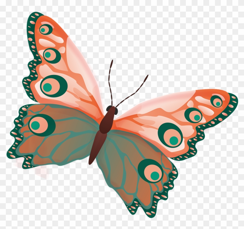 Butterfly Png Image Free Picture Download Pngimgcom - Butterfly Clipart #2358818