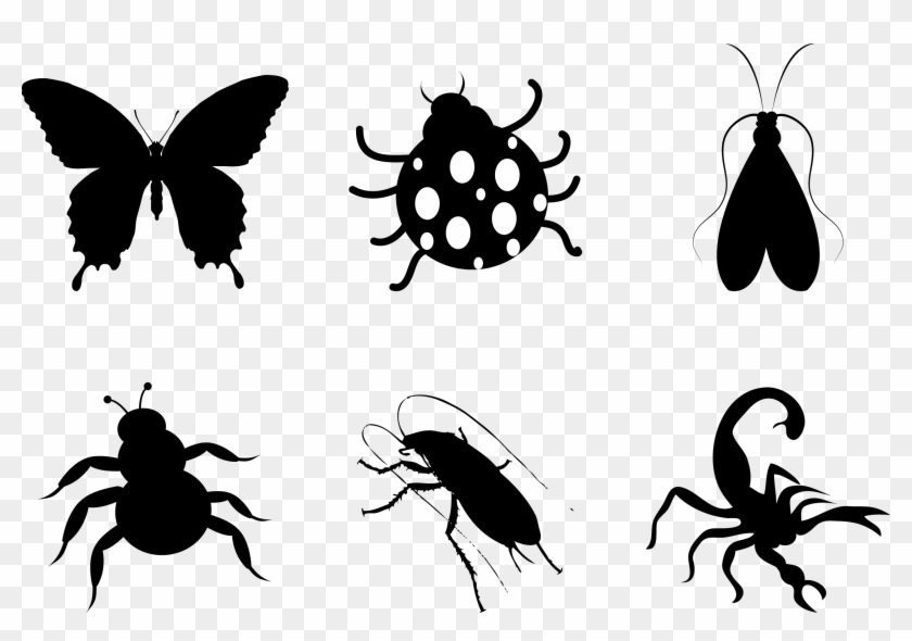 Butterfly Silhouette Art Silhouettes - Illustrator Clipart #2358956