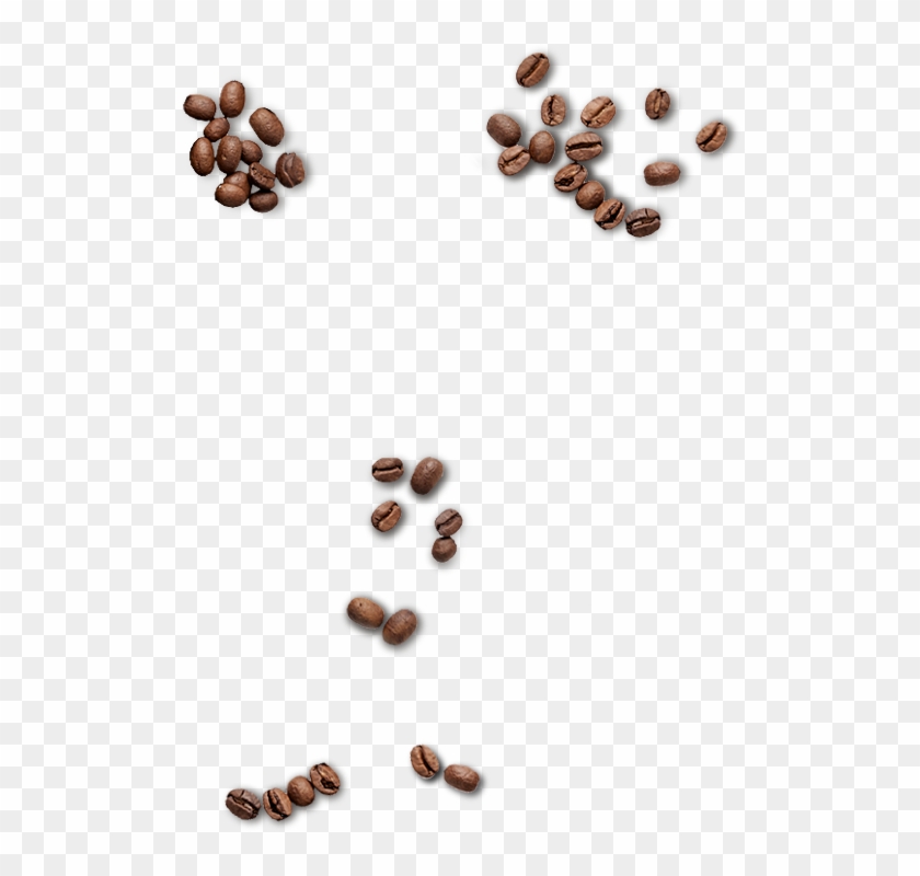 Coffee-beans Clipart #2358959