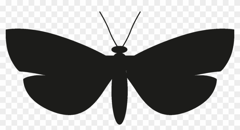 Insects Set [silhouette] Png - Net-winged Insects Clipart