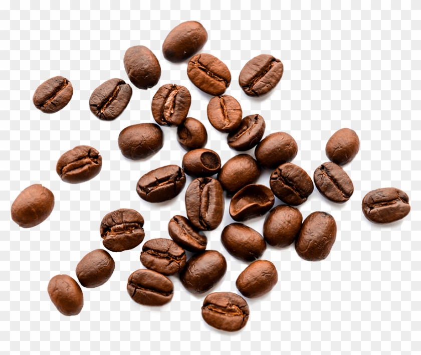Beans - Lista Alimentos Amargos Clipart #2359198