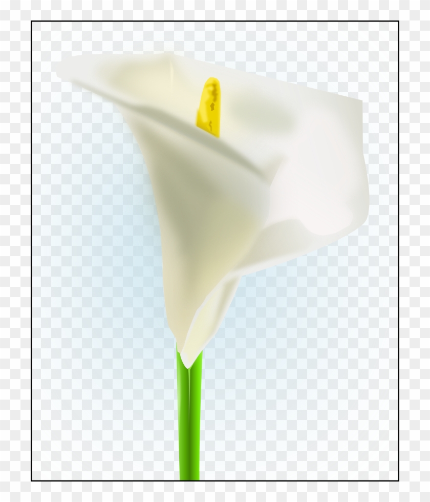 How To Set Use The Lily Svg Vector - Lily Flower Clipart