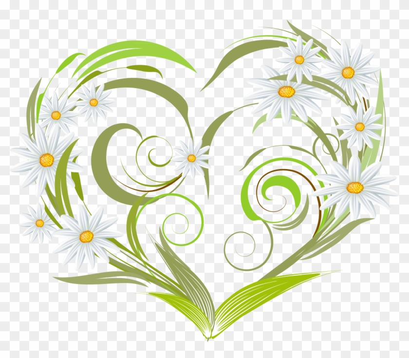 Png Free Cotton Flower Clipart - Heart Vector Transparent Png #2359562