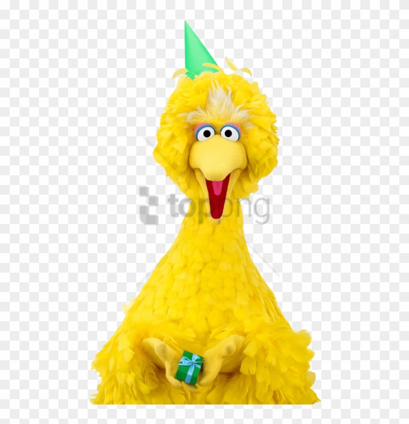 Free Png Download Big Bird Happy Birthday Png Images - Big Bird No Background Clipart #2360063