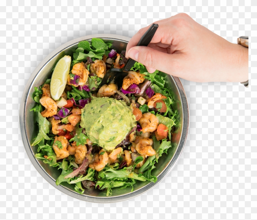 We Feed Healthy Appetites - Fattoush Clipart