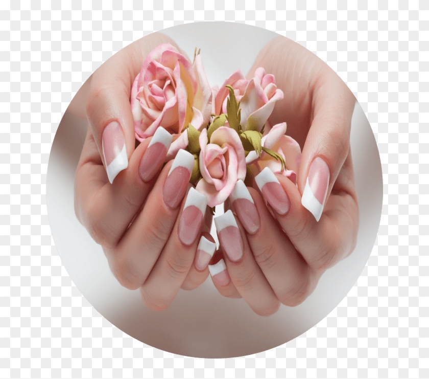 Acrylic Nails , Png Download - Garden Roses Clipart #2360341