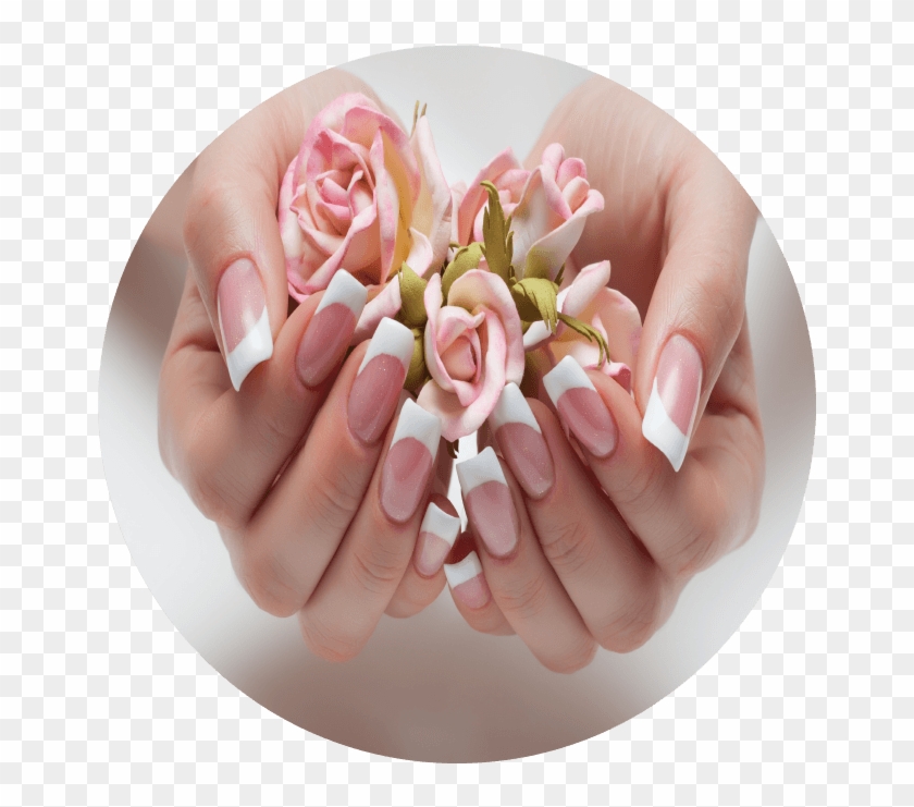 Acrylic Nails , Png Download - Garden Roses Clipart
