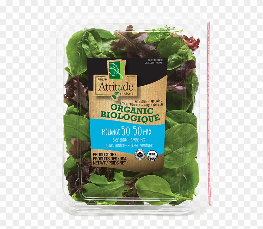 Organic Fresh Attitude Salad Clipart