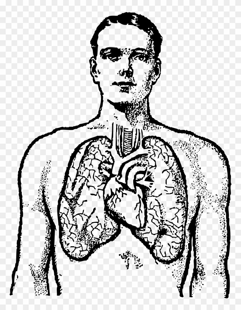 Cross Moline Svg Vector File, Vector Clip Art Svg File - Human Lungs Clipart Black And White - Png Download