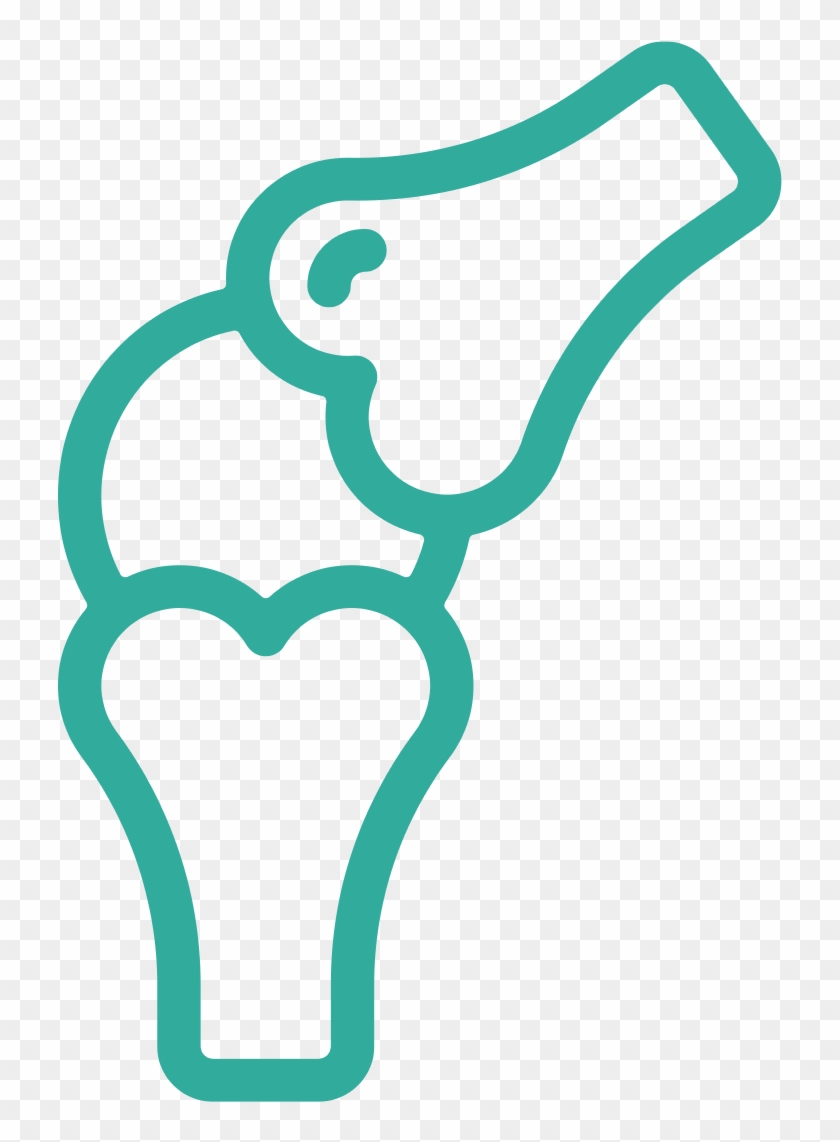 Bone Health - Ortopedia Png Clipart