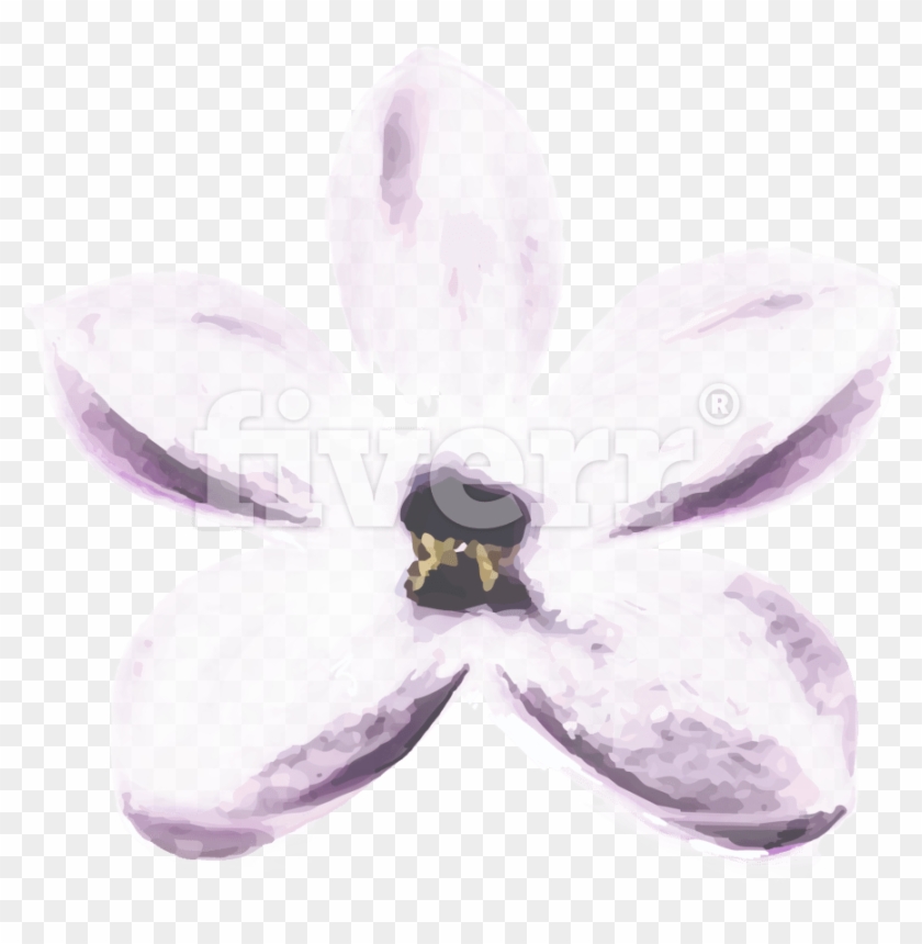 Moth Orchid , Png Download - Artificial Flower Clipart #2362262