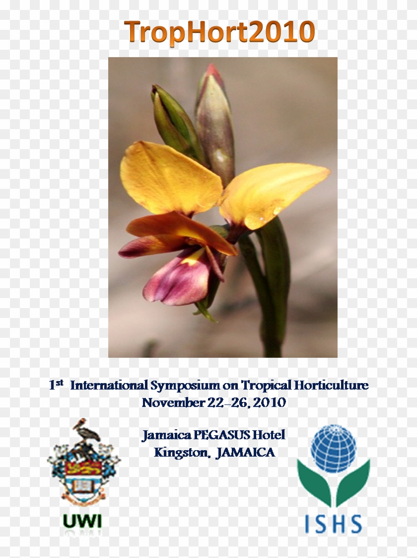 Orchid - International Society For Horticultural Science Clipart