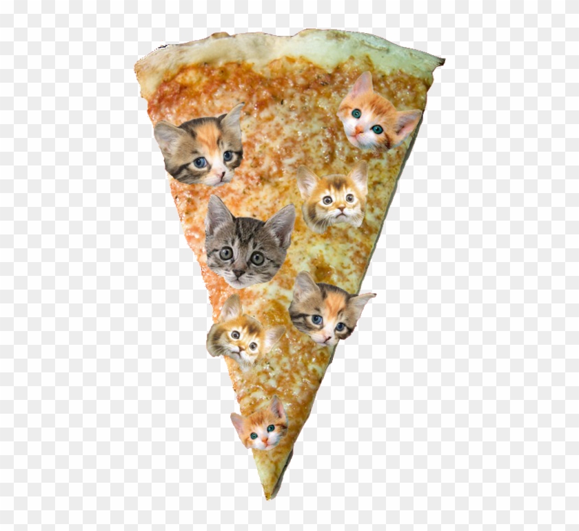 Pizza Png - Kittens Clipart #2362660
