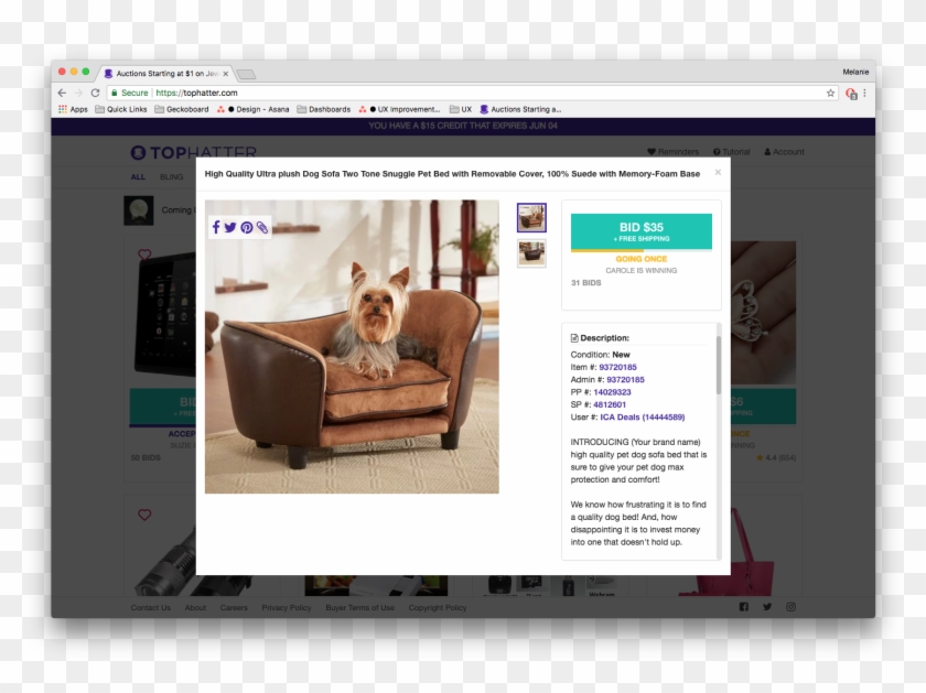 Product Listings Best Practices - Sofa Para Yorkshire Clipart #2362850