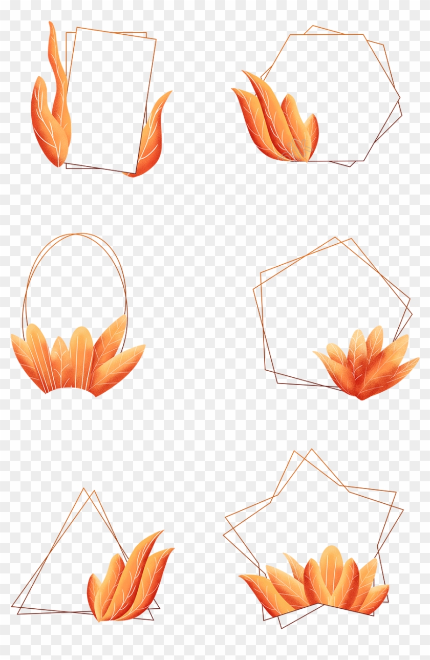 Coral Orange, Orange Color, Leaf Border, Plant Leaves, Clipart