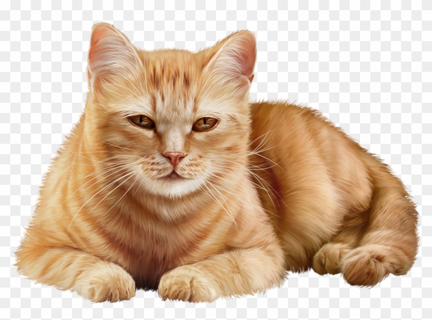 Pin By Lidia On - Kitten Clipart #2363286