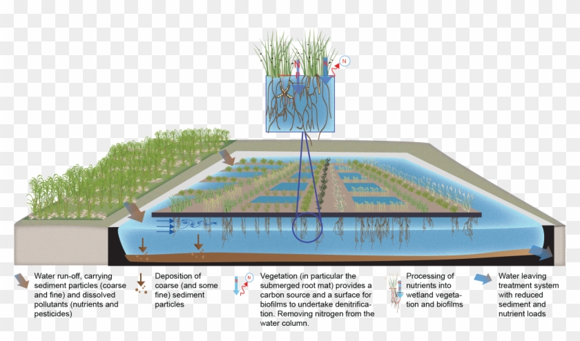 Floating Wetlands - Floating Wetland Design Clipart