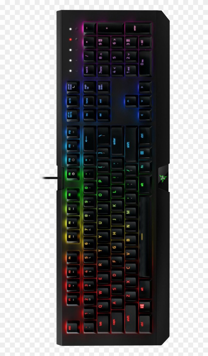 Razer Blackwidow - Electronics Clipart #2364988
