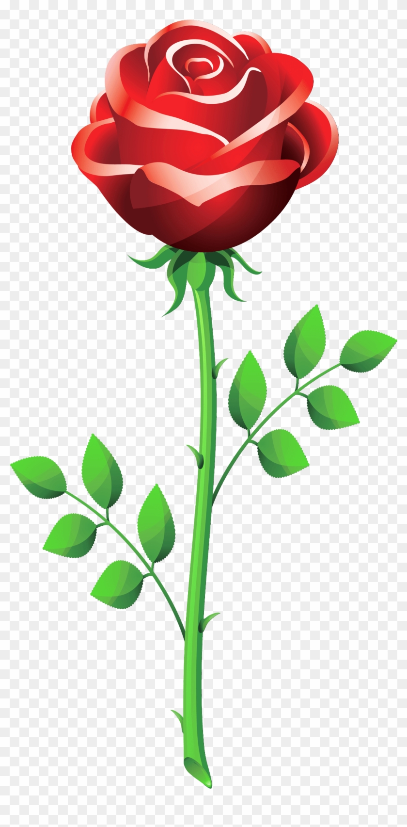 Rose Png - Vector Rose Flower Png Clipart