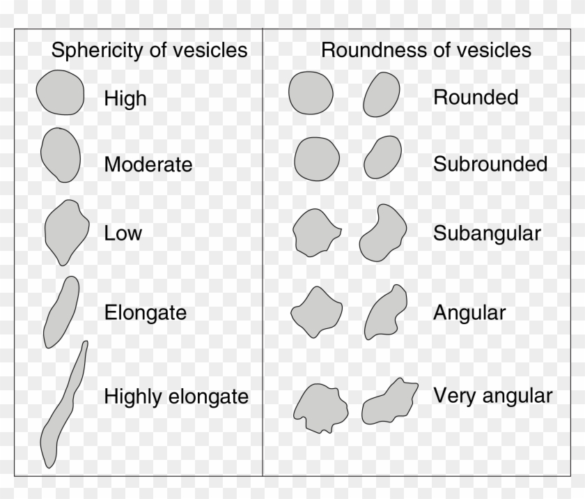 An - Circle Clipart #2367403