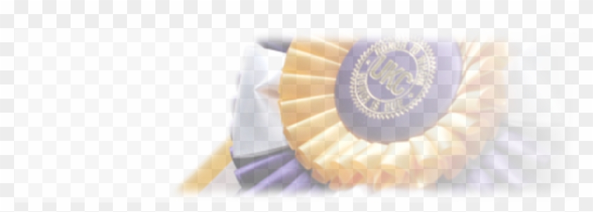 Sandwich Cookies Clipart #2370772