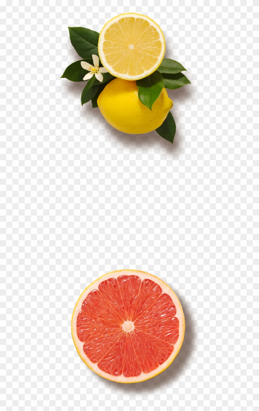 Our Juices - Grapefruit Clipart