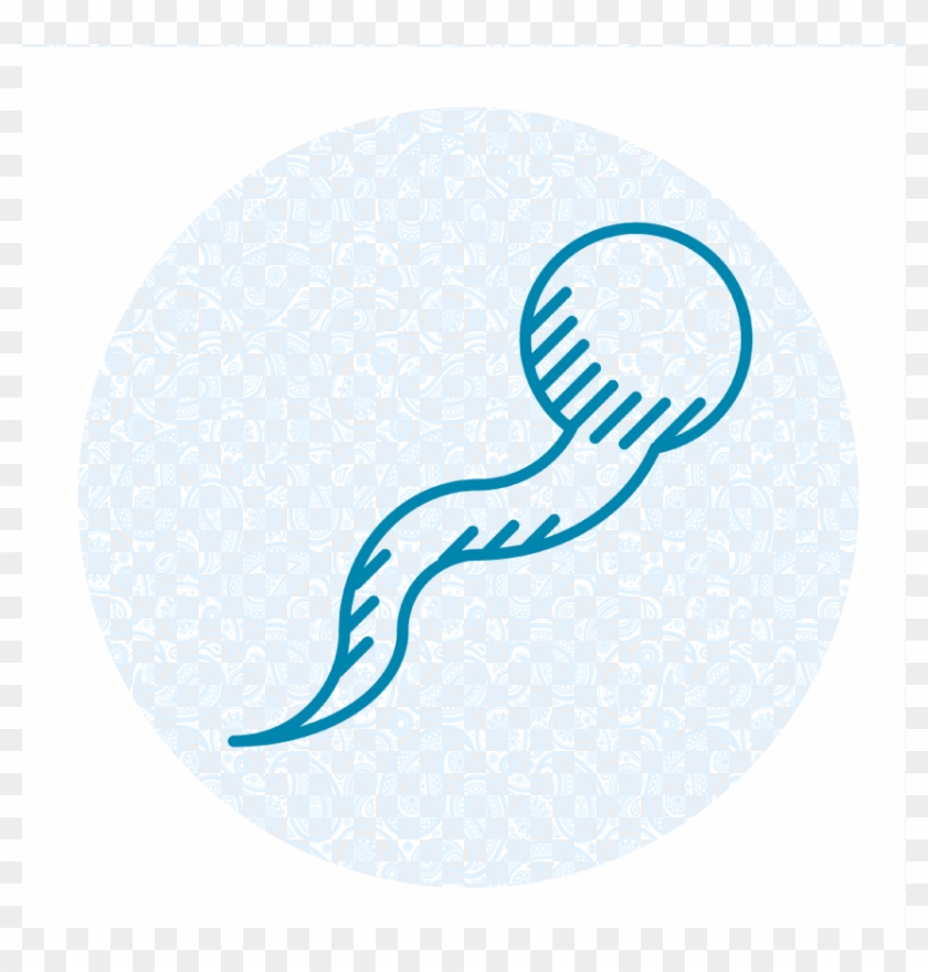 Promotes Sperm Quality* - Circle Clipart