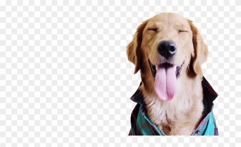 Dogs Png Pic - Magandang Pangalan Ng Aso Clipart