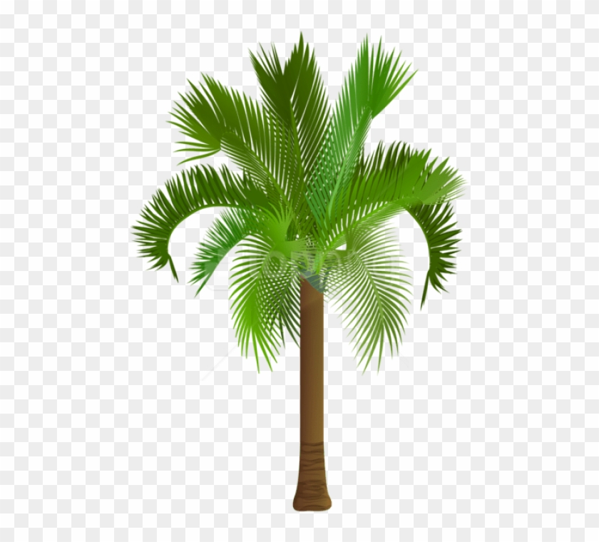 Free Png Download Palm Tree Png Images Background Png - Palmetto Tree Royalty Free Clipart #2374165