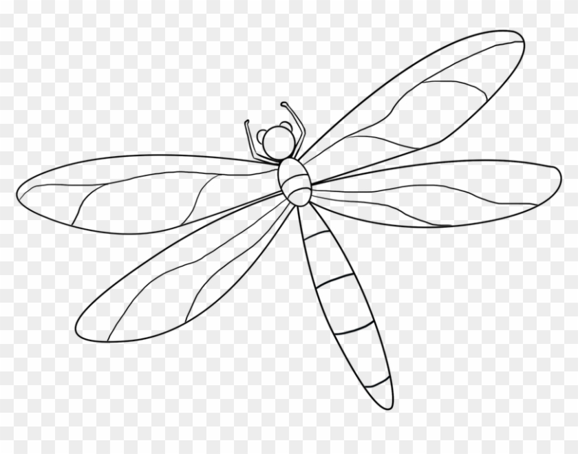 Picture Transparent Download Easy Drawing Guides On - Dragonfly Clipart #2374320