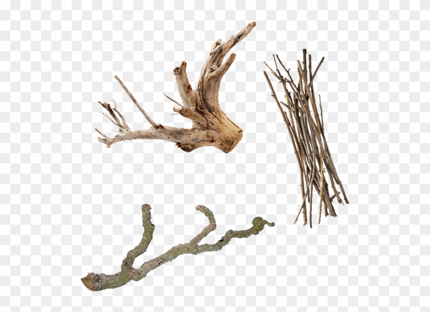 Photo By - - Stock Photography Clipart #2375456