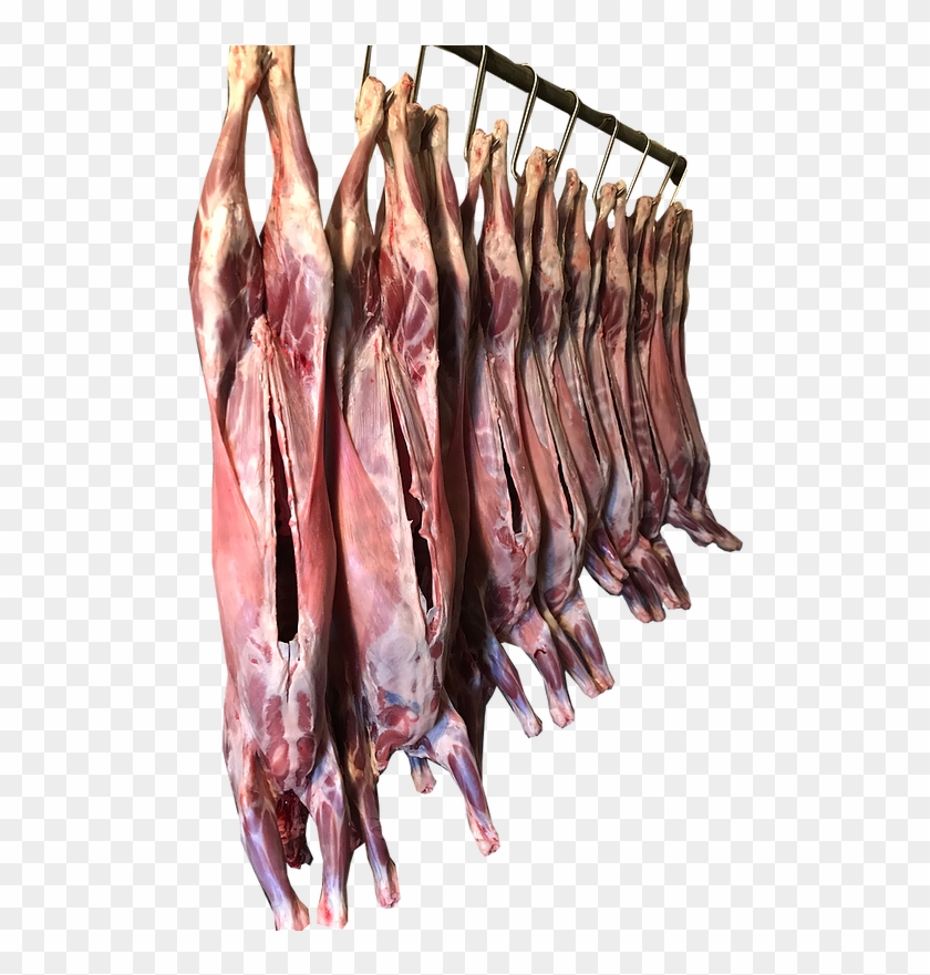 Meat - Lamb And Mutton Clipart #2376574