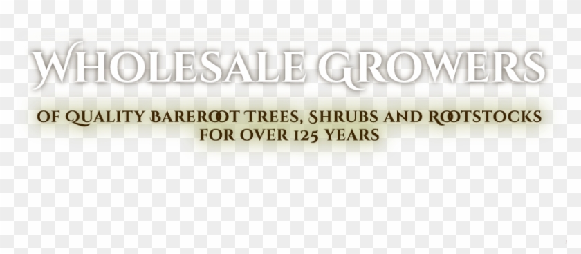 Carlton Plants - Ivory Clipart #2376612