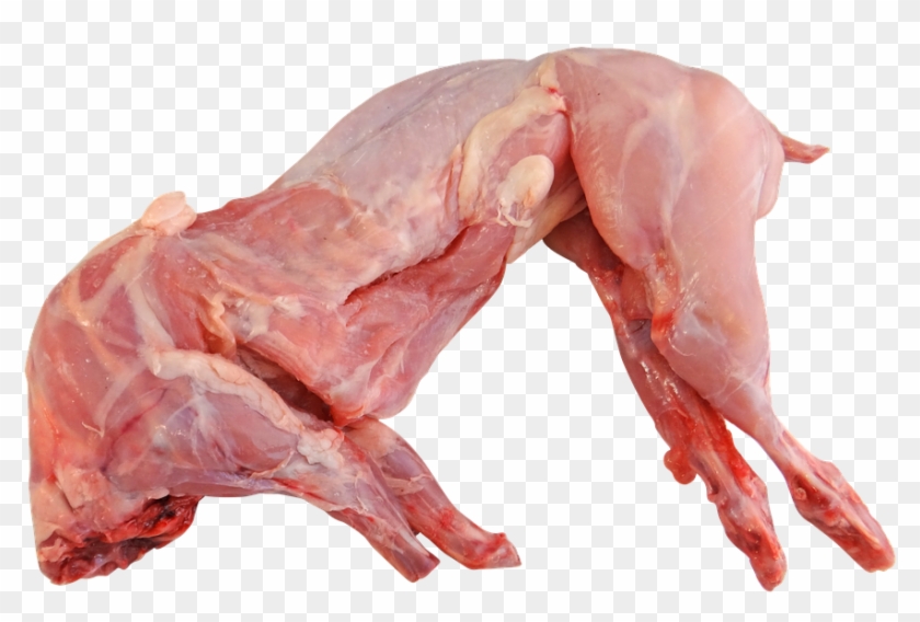 Rabbit Meat Meat & Poultry Kuala Lumpur , Malaysia, - Raw Rabbit Clipart