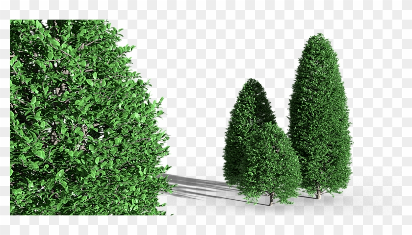 Blender Market - Christmas Tree Clipart #2376666