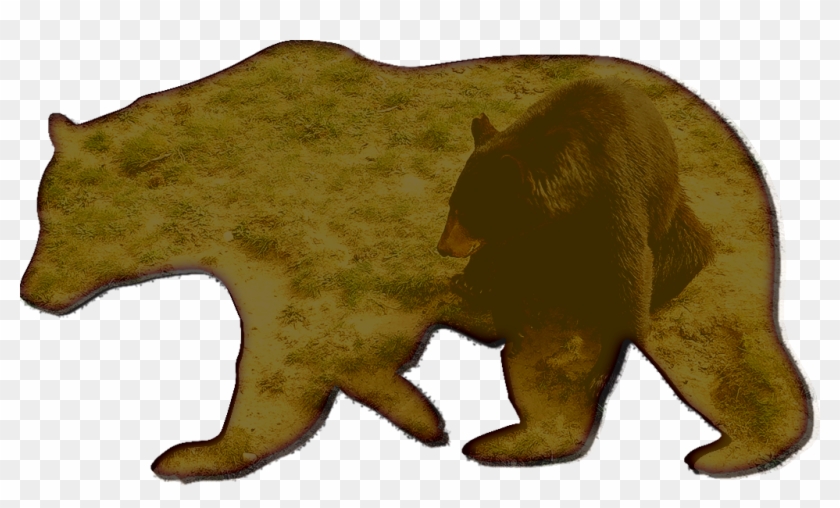 Black Bear Ranch - Bear Clipart Black And White - Png Download #2376867