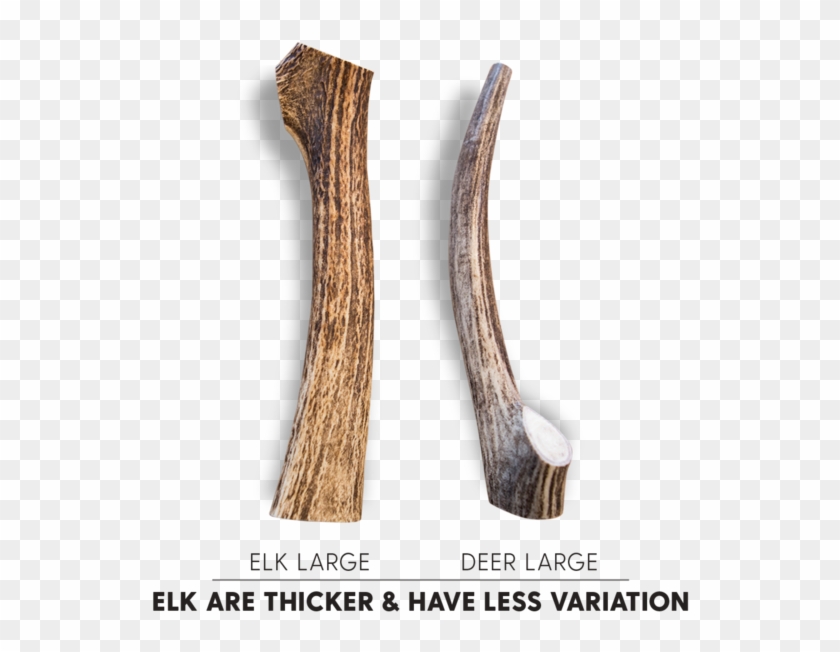 Most Dogs Love Both Types Of Antler Equally - Types Of Dog Antlers Clipart