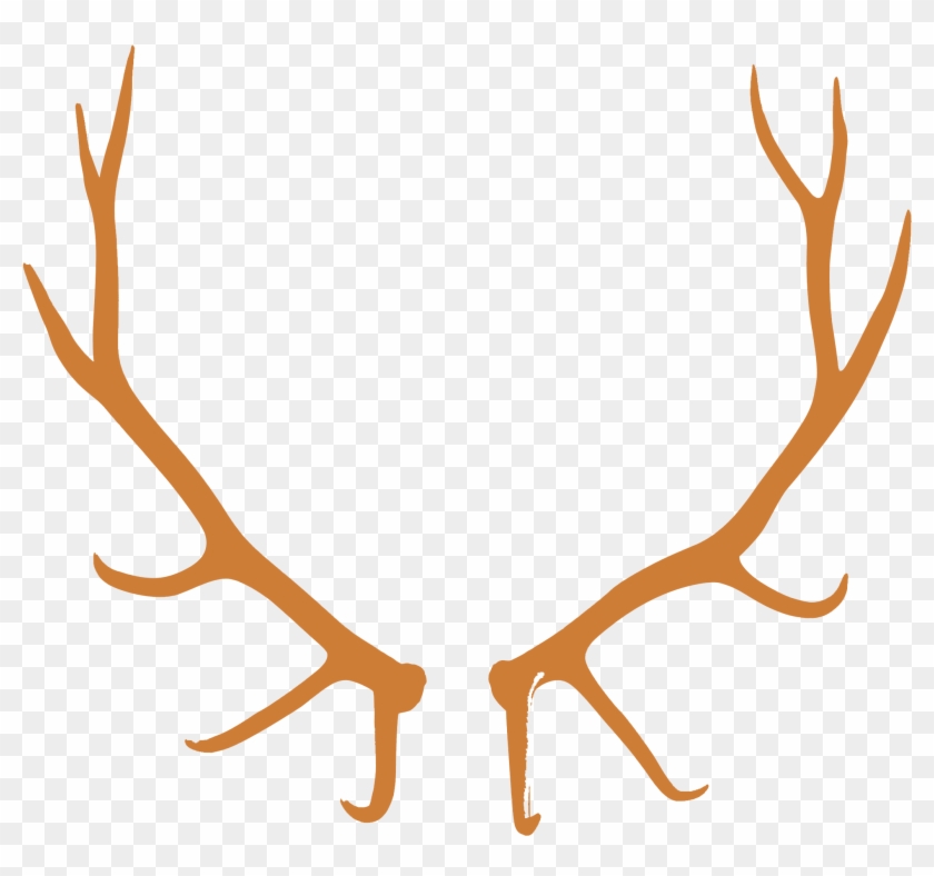 Antlers Png For Kids - Bull Elk European Mount Clipart #2377475
